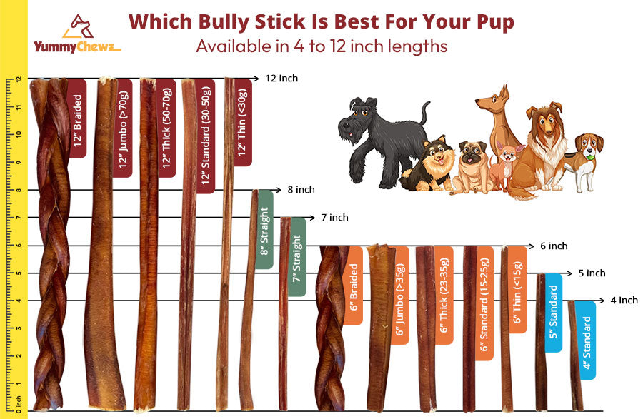 12 Inch Jumbo Organic Bully Sticks - Yummy Chewz