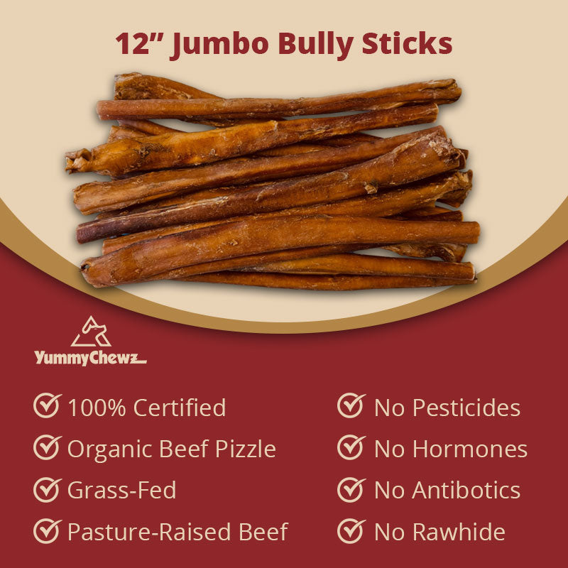 12 Inch Jumbo Organic Bully Sticks - Yummy Chewz