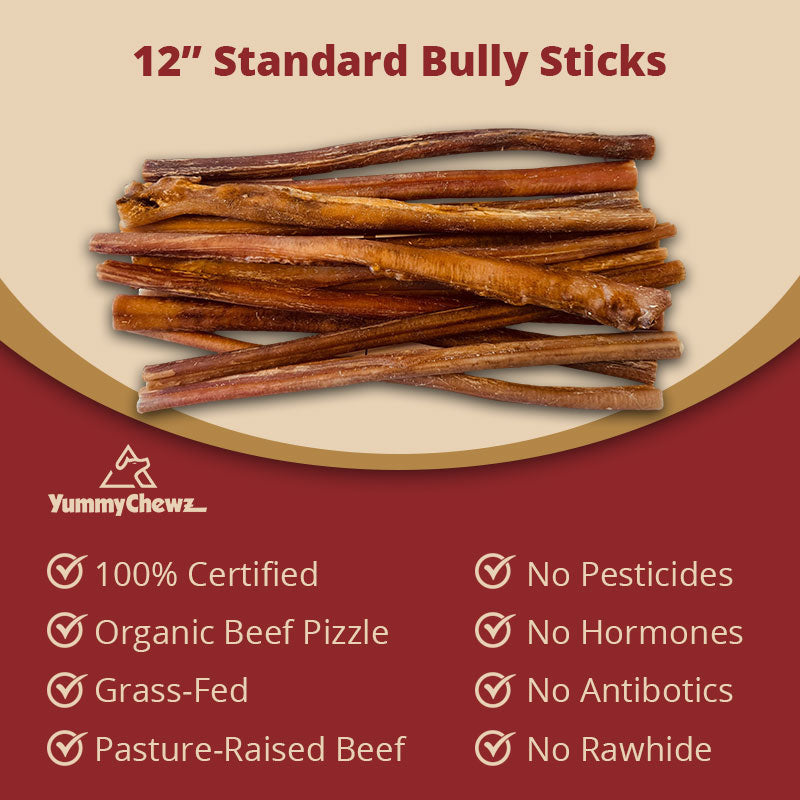 12 Inch Standard Organic Bully Sticks Odor-Free for Dogs - Yummy Chewz