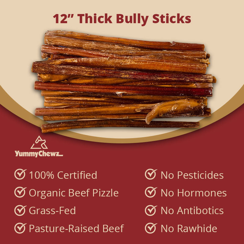 12 Inch Thick Organic Bully Sticks Odor-Free for Dogs - Yummy Chewz