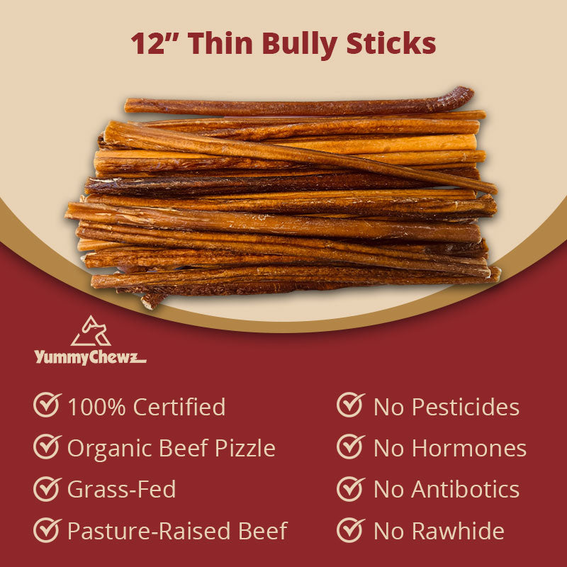 12 Inch Thin Organic Bully Sticks Odor-Free for Dogs - Yummy Chewz