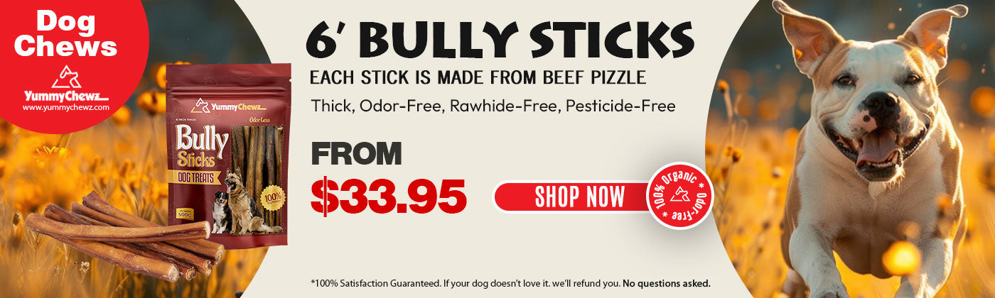 6 Inch Thick Bully Sticks Pack