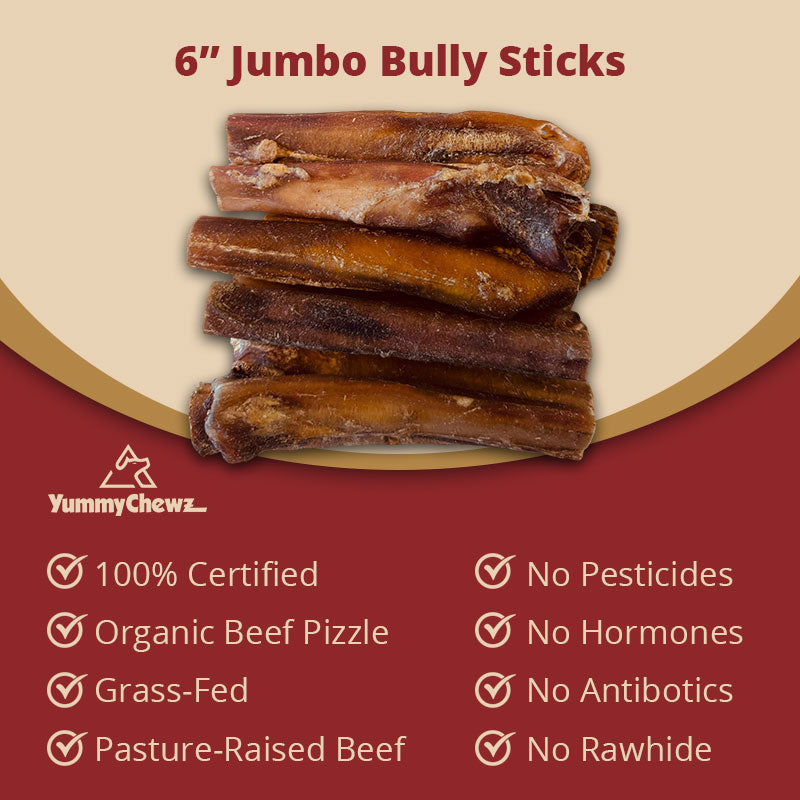 6 Inch Jumbo Organic Bully Sticks Odor-Free for Dogs - Yummy Chewz