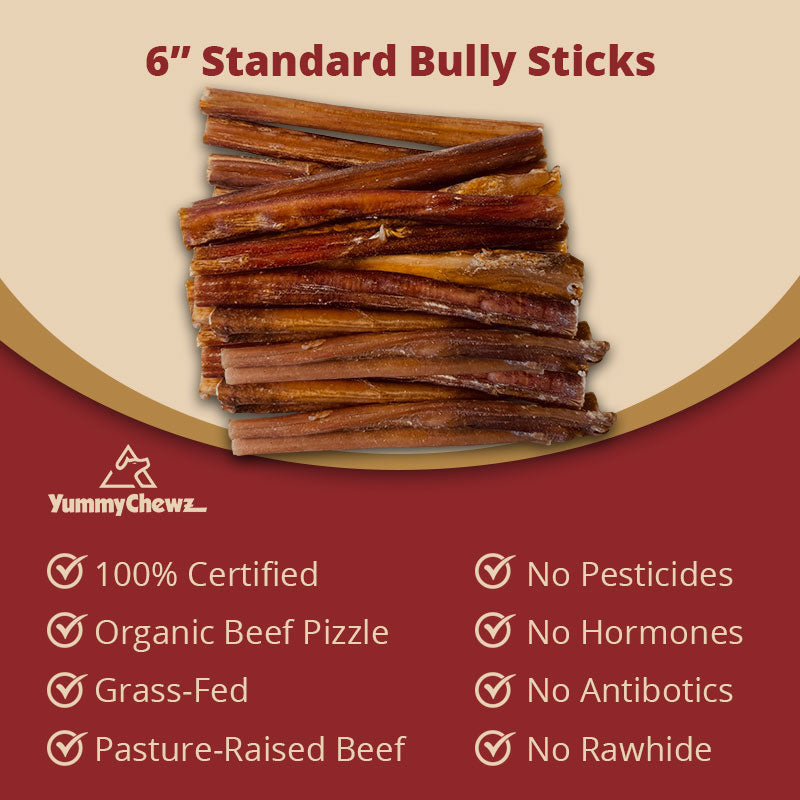 6 Inch Standard Organic Bully Sticks Odor-Free for Dogs - Yummy Chewz