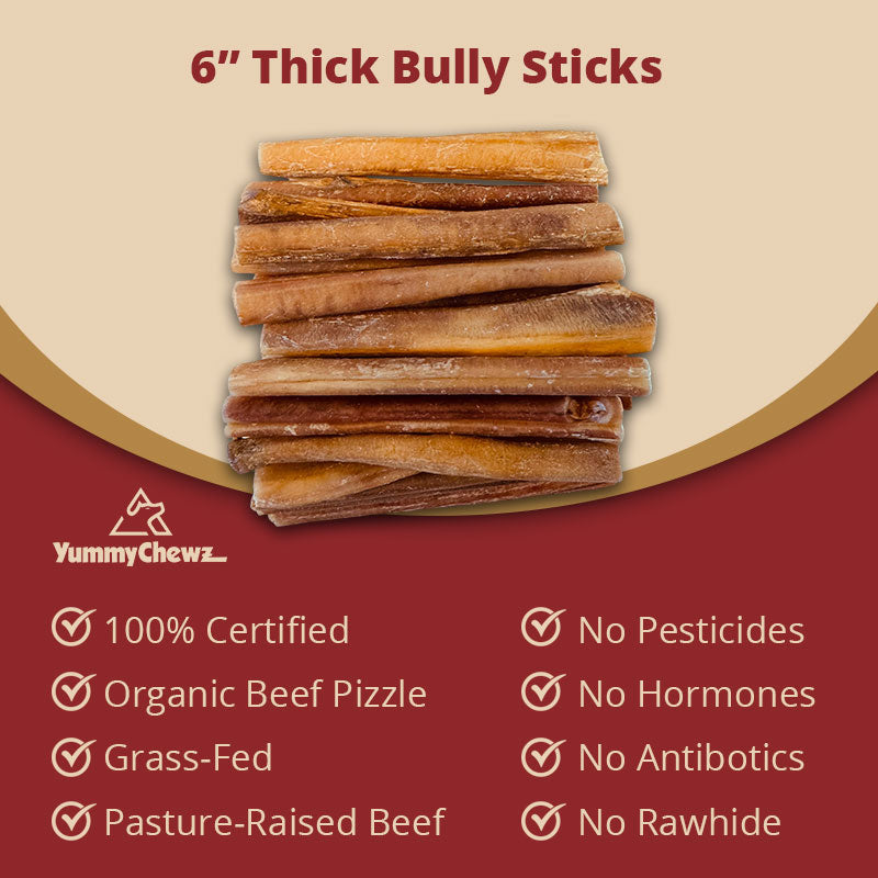 6 Inch Thick Organic Bully Sticks Odor-Free for Dogs - Yummy Chewz