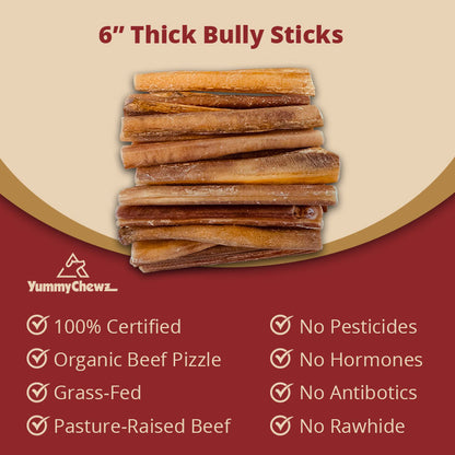 6 Inch Thick Organic Bully Sticks Odor-Free for Dogs - Yummy Chewz