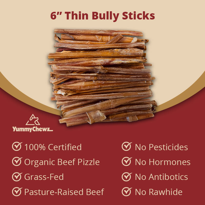 6 Inch Thin Organic Bully Sticks Odor-Free for Dogs - Yummy Chewz