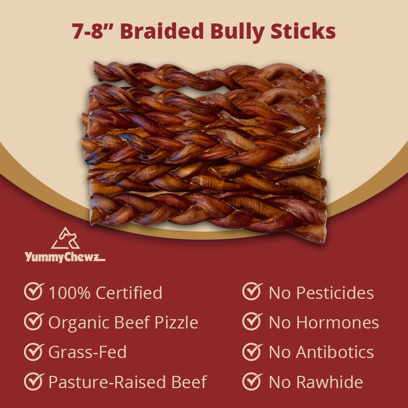7-8 Inch Braided Organic Bully Sticks Odor-Free for Dogs - Yummy Chewz