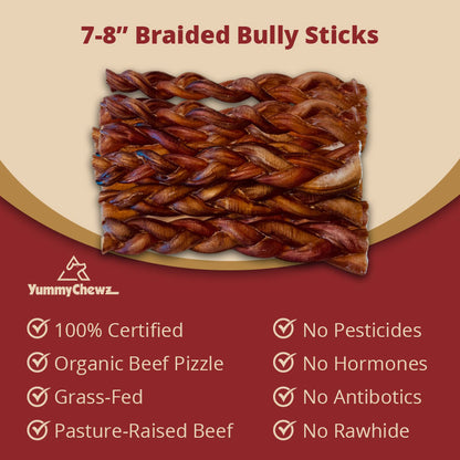 7-8 Inch Braided Organic Bully Sticks Odor-Free for Dogs - Yummy Chewz
