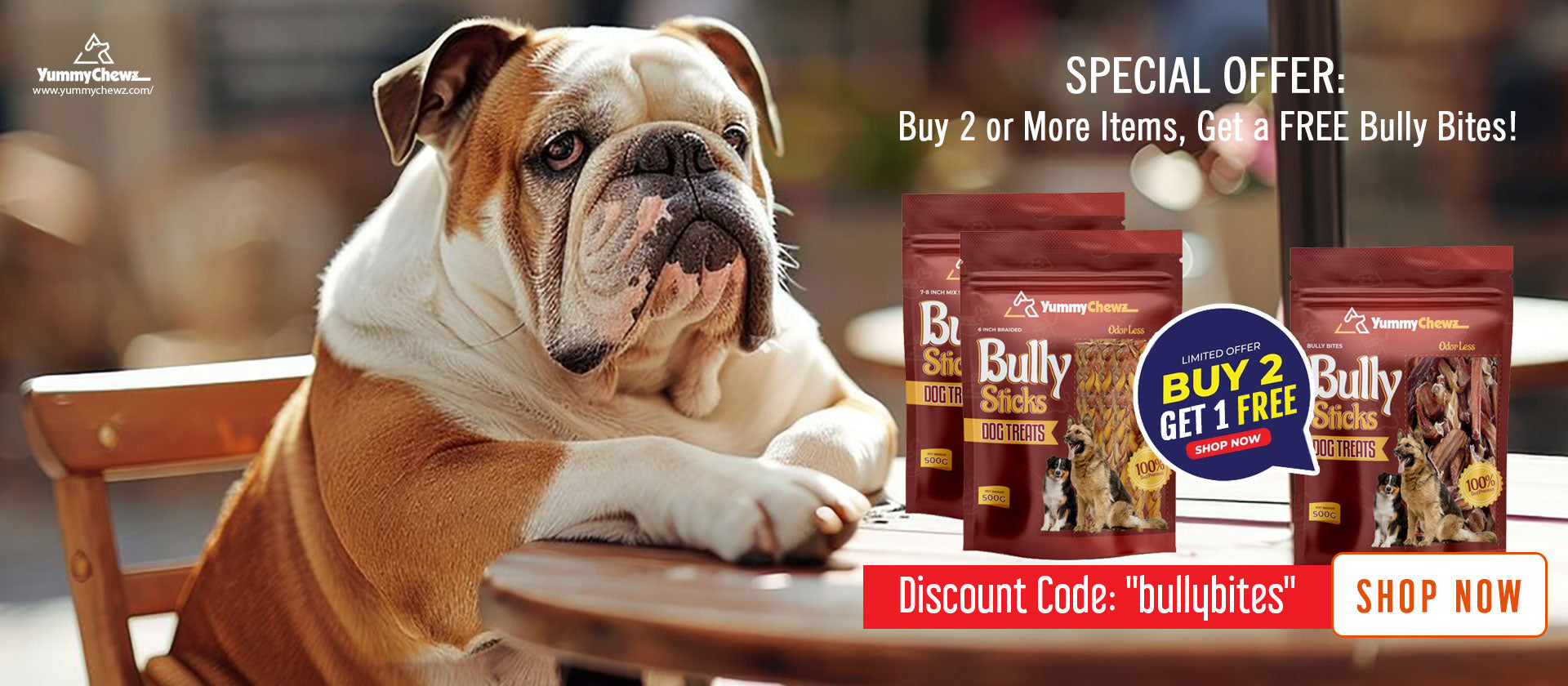 Special Offer: Buy 2 Get 1 Free