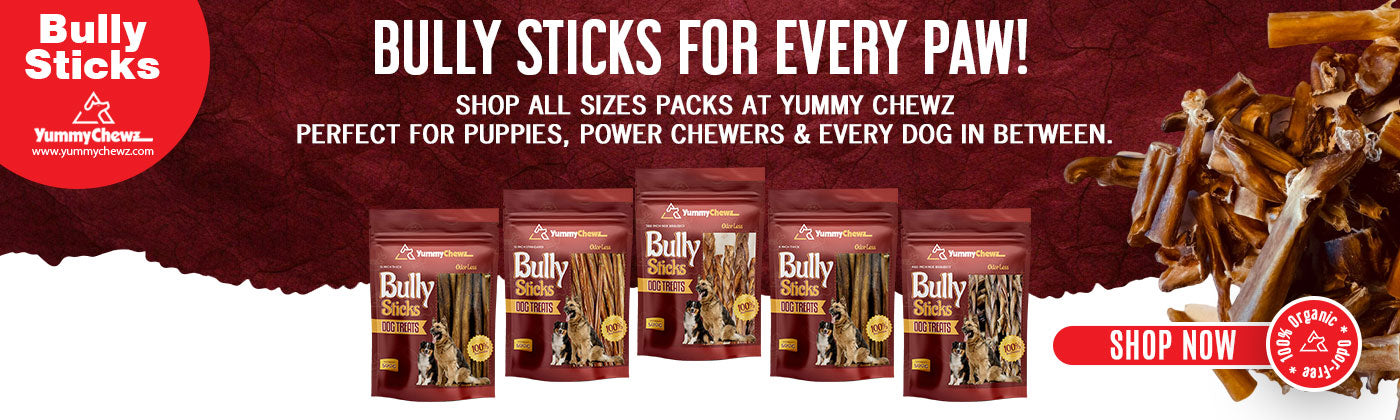 Bully Sticks For Every Paw!