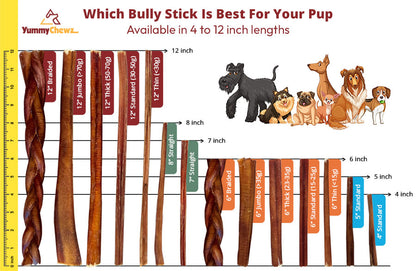 12 Inch Jumbo Organic Bully Sticks - Yummy Chewz