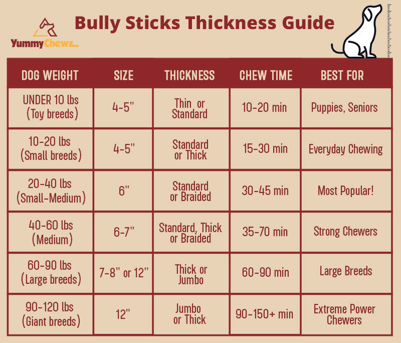 12 Inch Jumbo Organic Bully Sticks - Yummy Chewz