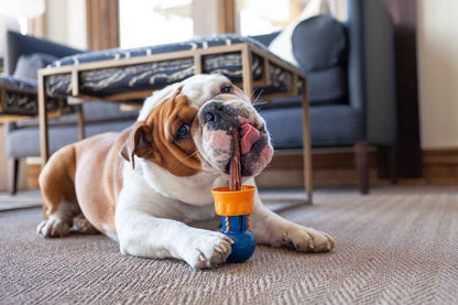 Bully Stick Safety Holder for Dogs